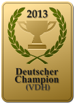 2013  Deutscher Champion  (VDH)