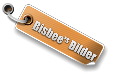 Bisbee’s Bilder