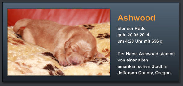 Ashwood blonder Rüde geb. 20.05.2014  um 4:20 Uhr mit 656 g  Der Name Ashwood stammt von einer alten amerikanischen Stadt in Jefferson County, Oregon.