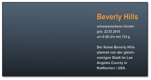 Beverly Hills schwarzmarkene Hündin geb. 22.03.2016  um 0:50 Uhr mit 734 g  Der Name Beverly Hills stammt von der gleich-  namigen Stadt im Los Angeles County in Kalifornien / USA.